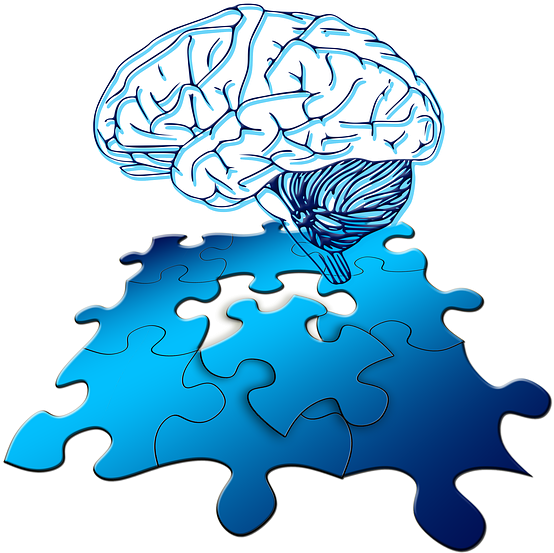 Puzzle Cerebro Png (640x640)