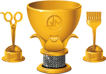 Engage Your Employees In Rounds Of Healthy Competition - Trophy (500x300)