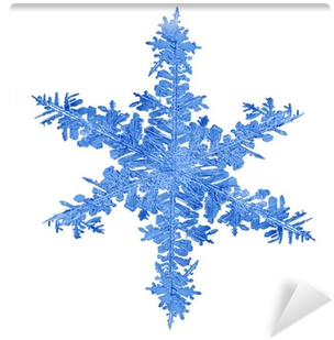 Papier Peint Flocon De Neige Bleu Isolé Macro • Pixers® - Tree (400x400)