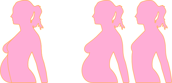 Pink Pregnant Silhouette Clipart - Pregnant Pink Silhouette Png (600x290)