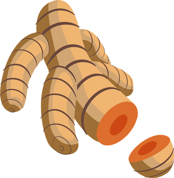 Meal Worm Cliparts 13, Buy Clip Art - Turmeric (704x720)