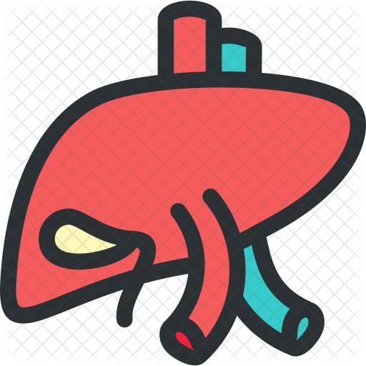 Liver, Medical, Teeth, Dentist, Health, Dental Icon - Liver Cartoon Png (512x512)
