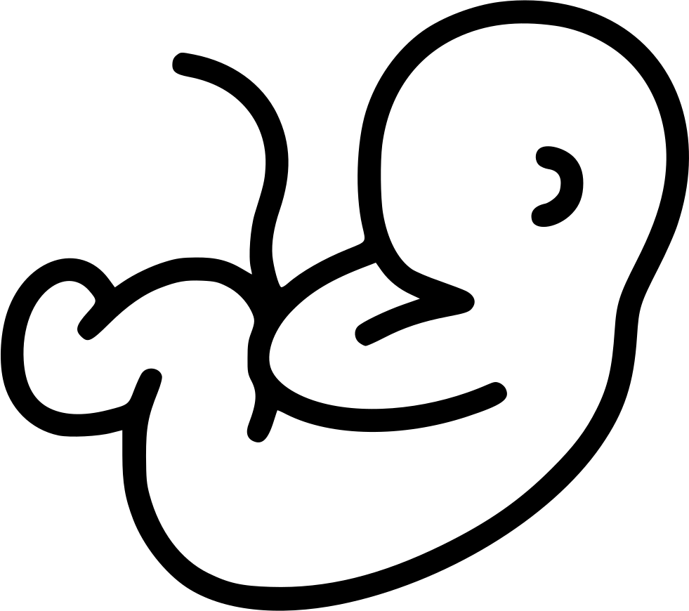 Embryo Fetus Pregnancy Pregnant Motherhood Comments - Pregnancy Png (981x870)