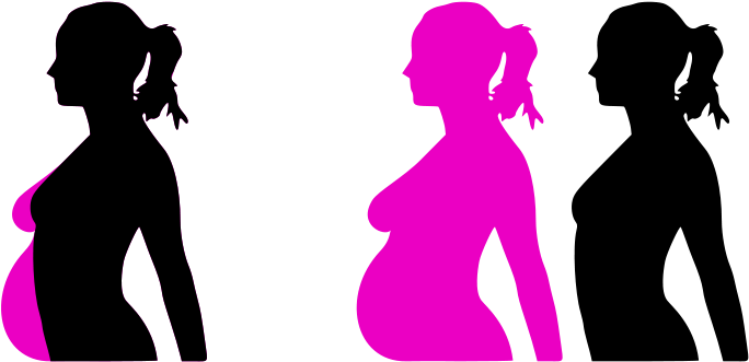 Free Pregnancy Silhouet Free Hide Girl Free Pregnancy - Pregnant Clip Art (800x439)