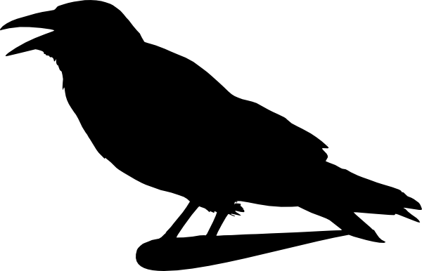 Crow Clip Art (600x386)