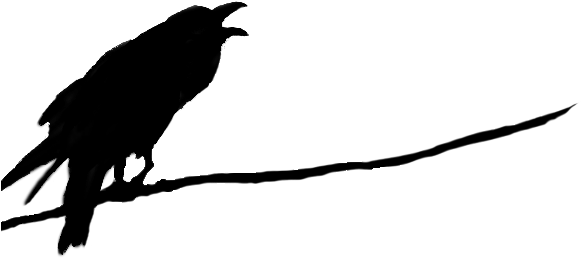 Raven - Png Raven (584x375)