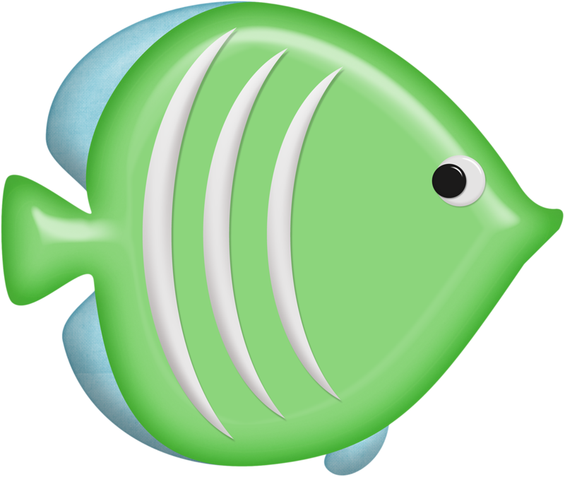 Album - Clip Art Ikan (800x675)