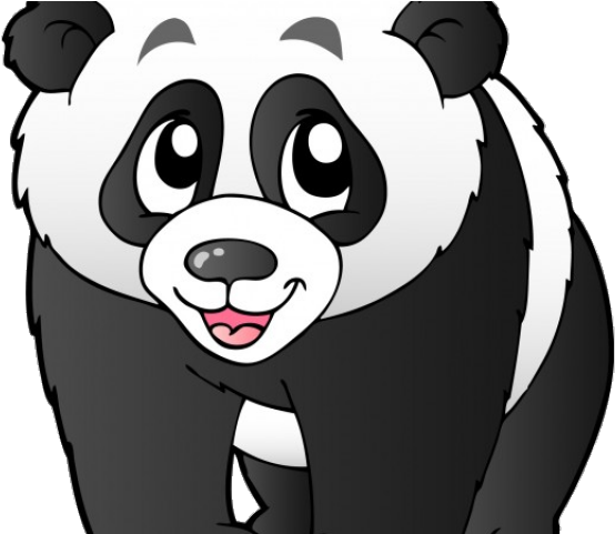Koala Bear Clipart White Background - Sticker Enfant Panda Réf 924 Dimensions De 10 Cm À (640x480)