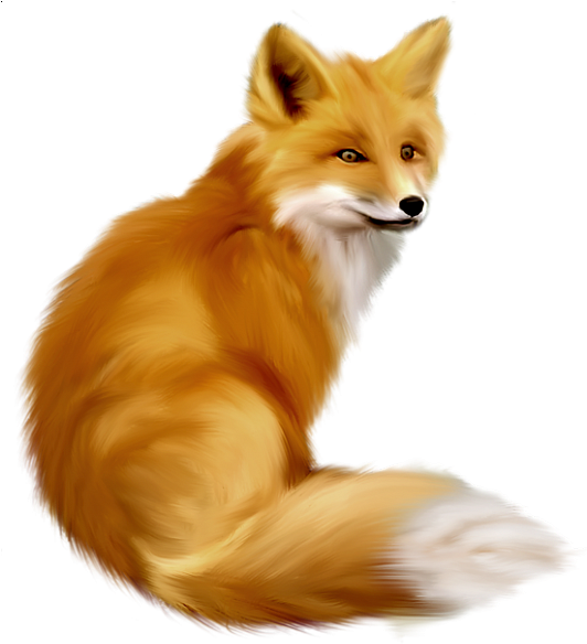 Gallery Free Clipart Picture Animals Png Painted Fox - Fox Clipart (531x600)