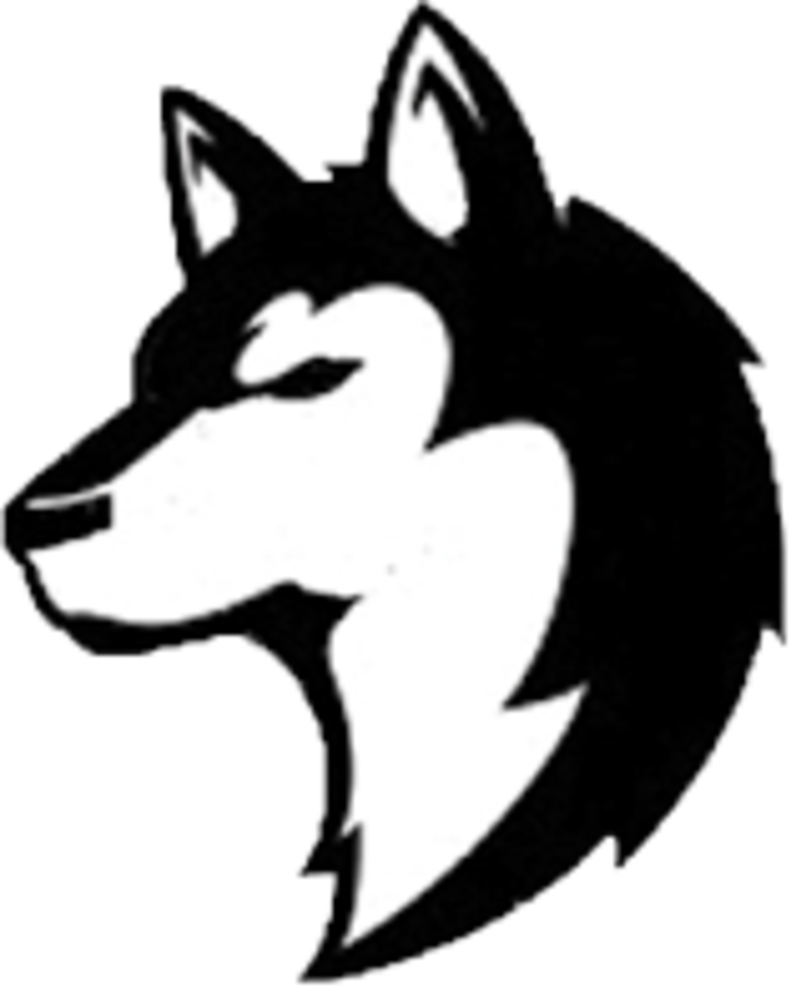 Nashua Plainfield High School Logo (720x899)