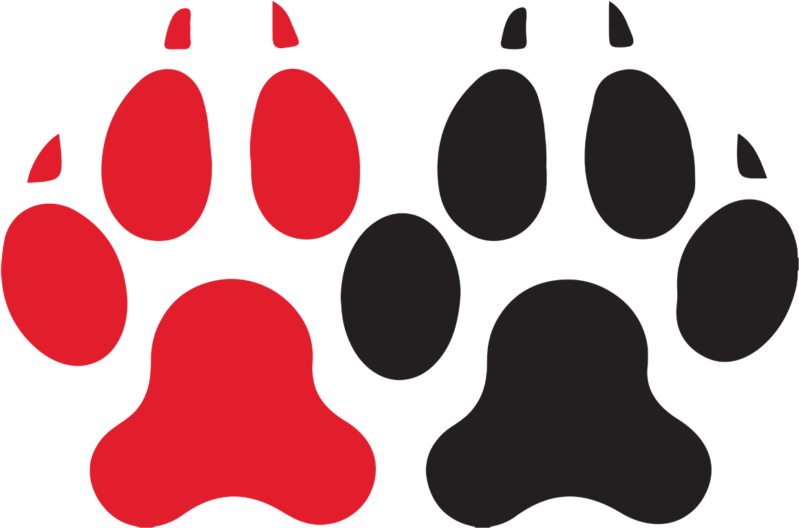 Northeastern University Northeastern Huskies Men's - Northeastern Huskies (1200x1200)