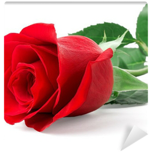 Romantic Love Good Morning Messages (400x400)