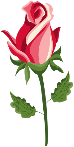 Rose Bud Stem Icon Transparent Png - Botão De Rosa Png (512x512)