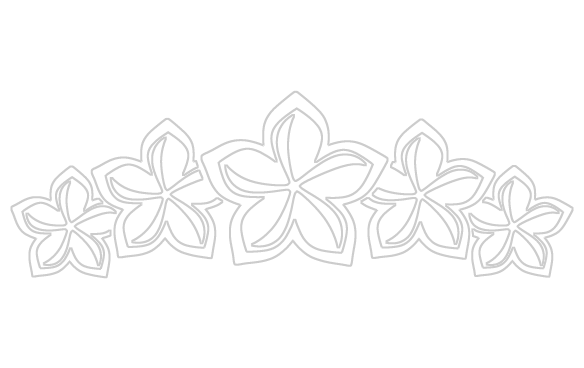 Pin Plumeria Clipart Black And White - Black And White Plumerias (584x368)