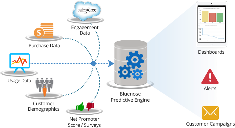 Bluenose Analytics Enables The Metrics-driven Saas - Customer Success (858x448)
