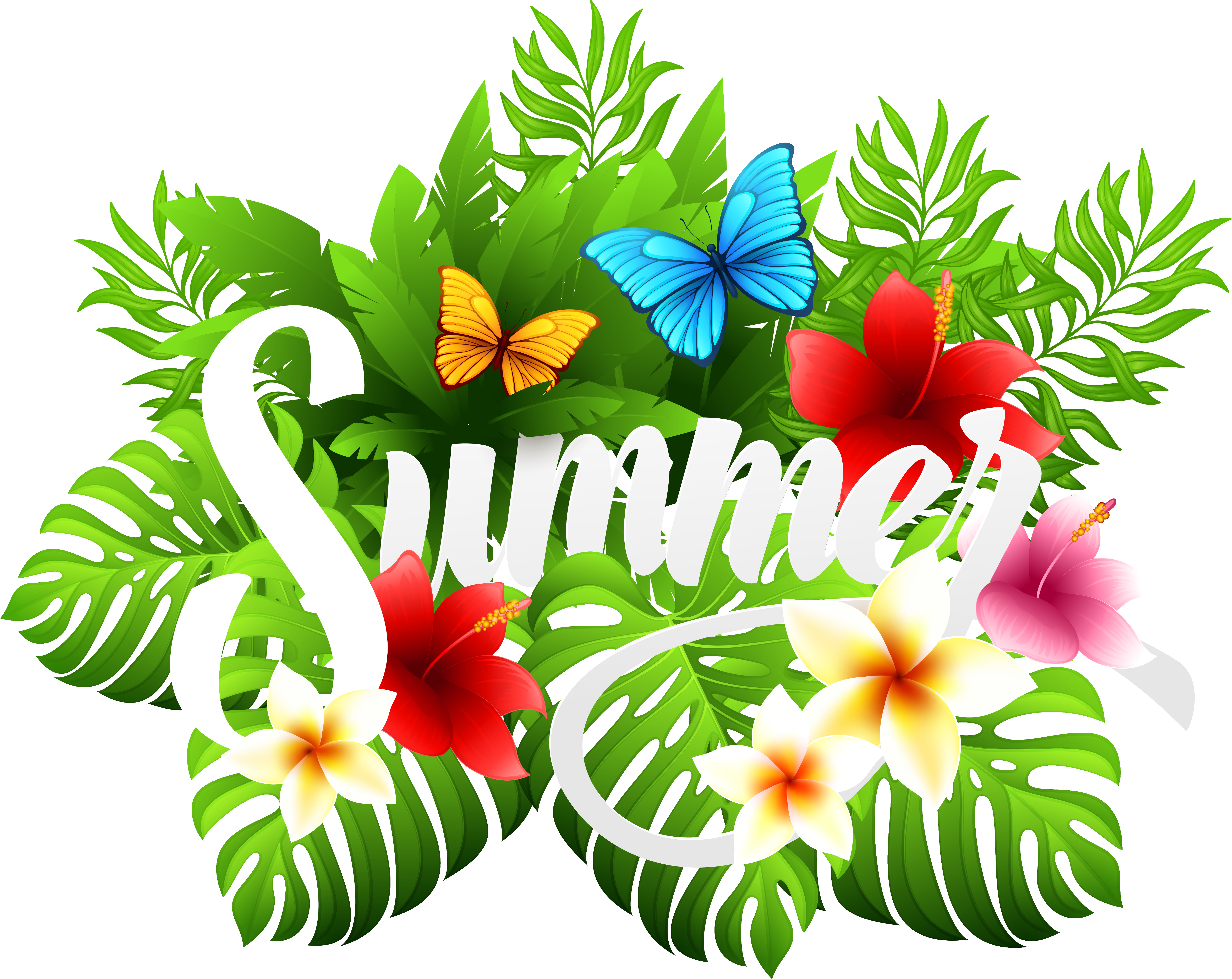 Summer Decorative Image Clipart - Summer Clip Art Png (6068x4822)