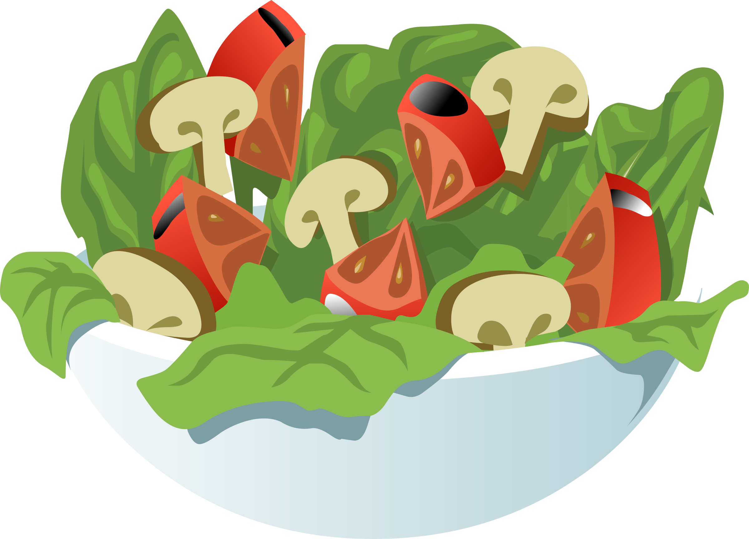 Salad - Clipart - Vegan Expectation Vs Reality (2400x1728)