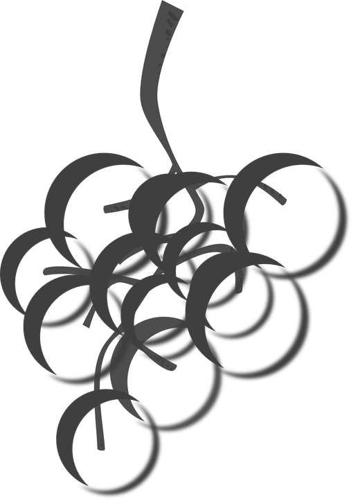 Free Horizontal Vine Clipart 22, - Wine Grape Clip Art (507x720)