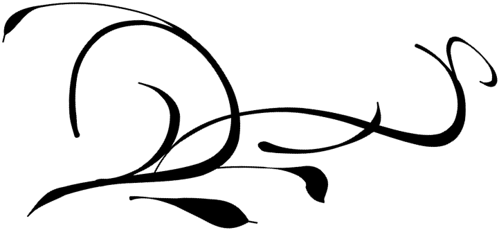 Vine Clip Art - Vine Clip Art (855x851)