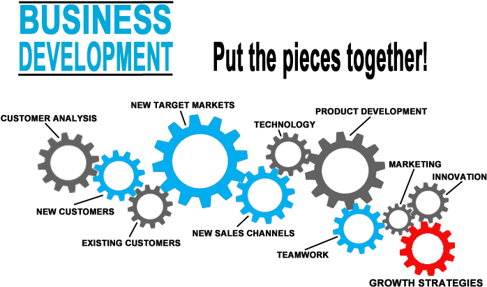 Do You Need A Business Developer Helping Your With - Diagram (700x471)
