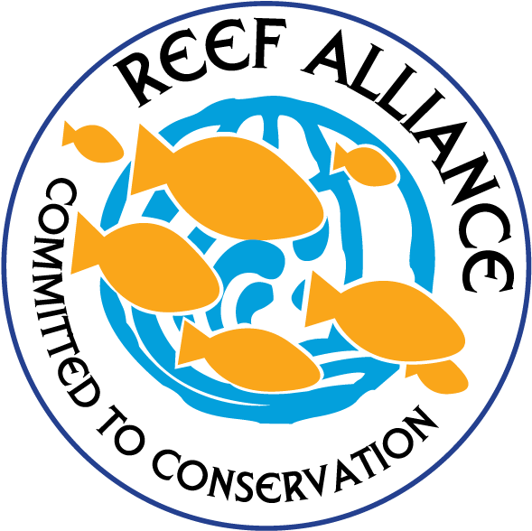This Saturday Is Ocean Conservancy's Annual International - Coral Reef Alliance (640x635)
