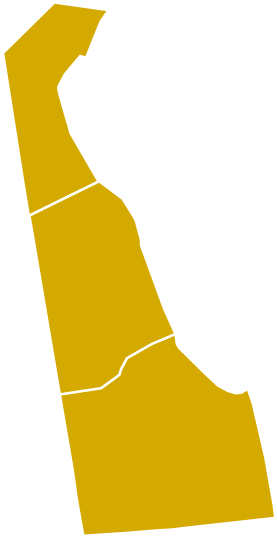 Delaware Democratic Presidential Primary Election Results - Election (307x600)