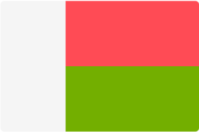 Madagascar Election - Flag (400x400)