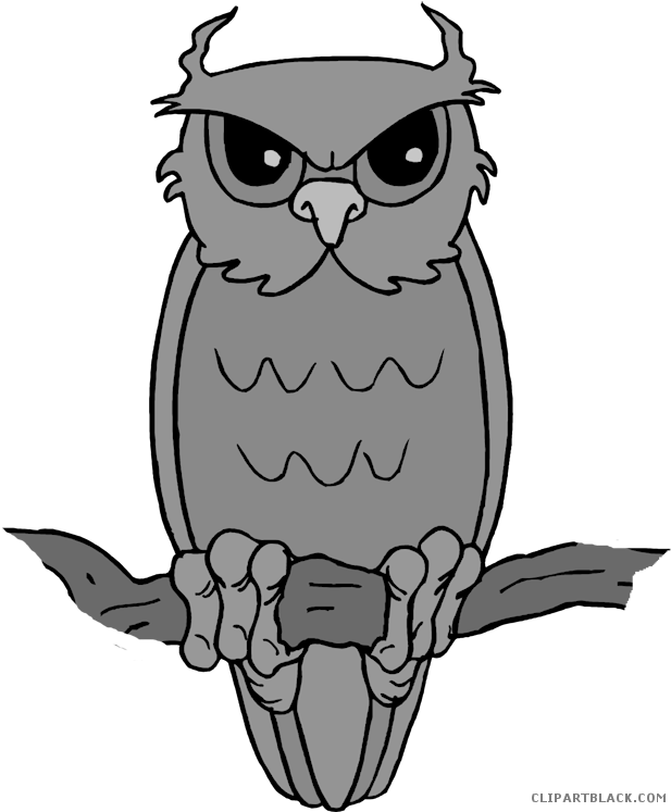 Cute Owl Animal Free Black White Clipart Images Clipartblack - Full Of Angst Rectangle Magnet (624x750)
