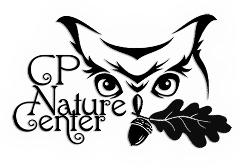 Clipart Owl Black And White - Stickalz Llc Owl Head Vinyl Wall Art Decal Sticker (478x329)