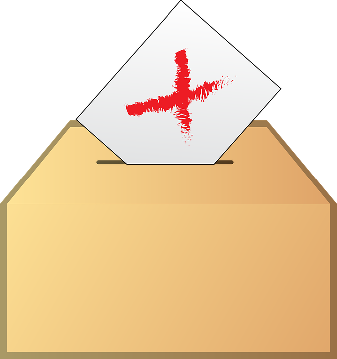 Voting (676x720)