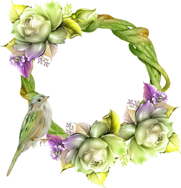 Cabschau - Page - Garden Roses (771x800)