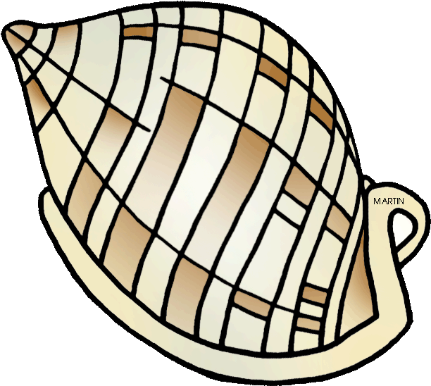 North Carolina State Shell - Scotch Bonnet Clip Art (648x599)