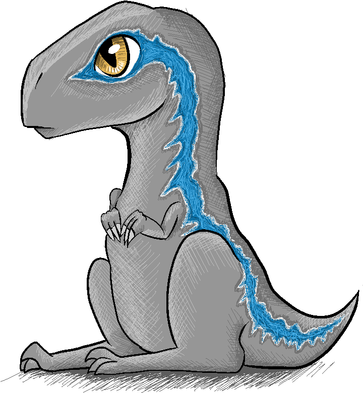 Baby Velociraptor Drawing - Blue The Raptor Drawings (1024x1024)