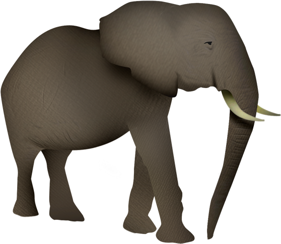 Otros Blogs Que Te Pueden Interesar - Elefantes Animados En Png (640x640)