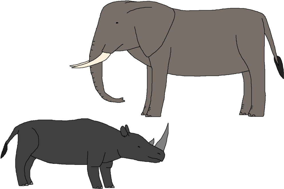 Herbivores In Crisis By Wildandnaturefan - Indian Elephant (1024x673)