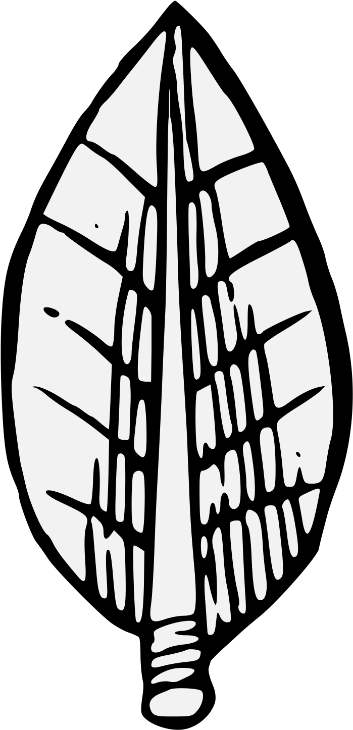 A Display Of Heraldrie Bay Laurel Leaf Clip Art - A Display Of Heraldrie Bay Laurel Leaf Clip Art (716x1463)