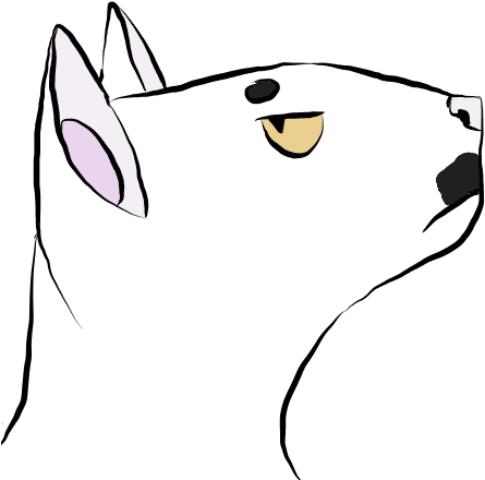 Slinky Headshot By Slinky-noodle - Cartoon (453x459)