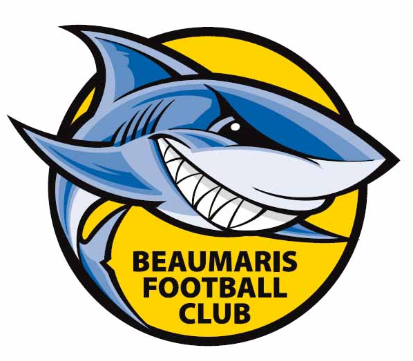Published In Herald Sun On 03/04/2018 - Beaumaris Fc (822x558)