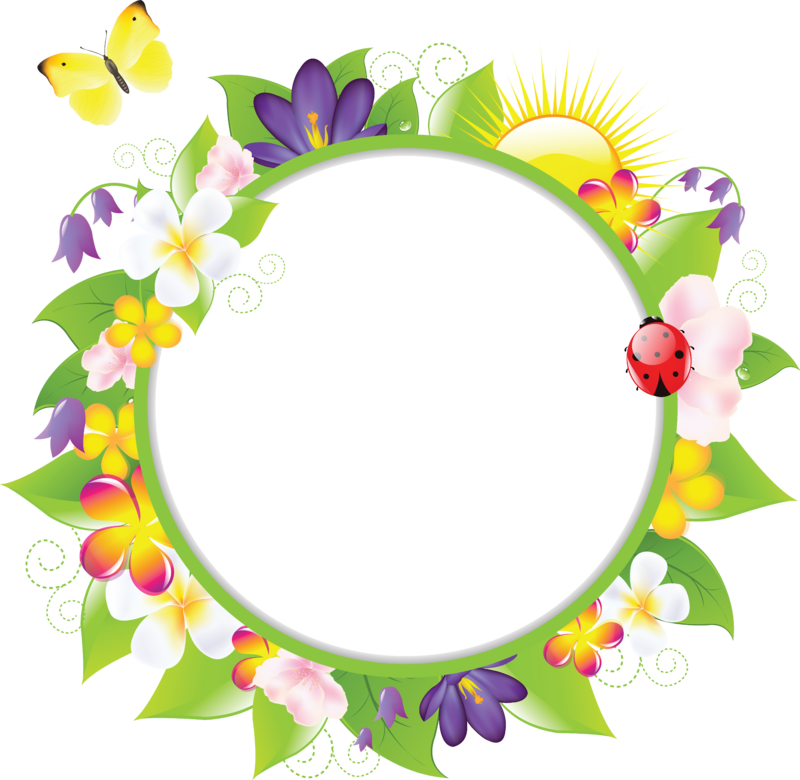 Page Frames, Oval Frame, Piano, Label, Moldings, Note, - Oval Frame Png Flower (800x780)