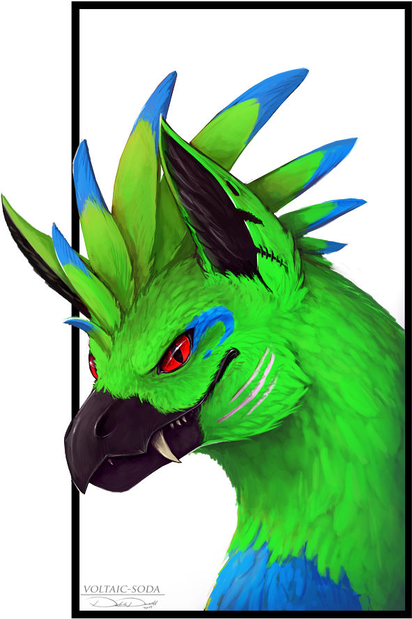 Deck The Halls Gift By Voltaic Soda - Deck The Halls (736x900)