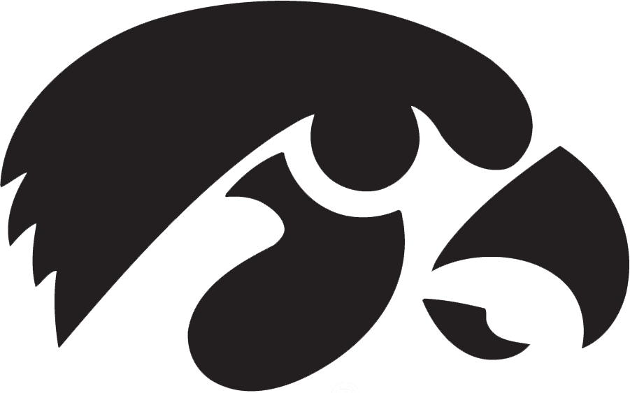 Iowa Hawkeyes Black Tigerhawk Logo - Iowa Hawkeye Logo Black (901x563)