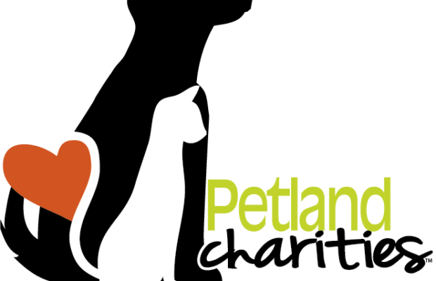 Deck The Halls With Petland Charities - Illustration (620x400)