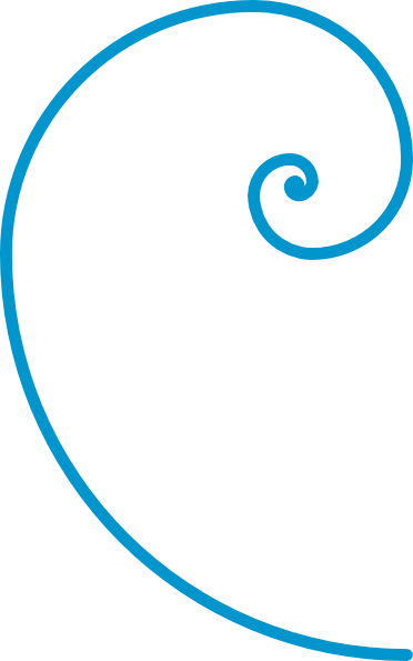 Spiral Clipart Double - Fibonacci Spiral Clip Art (372x595)