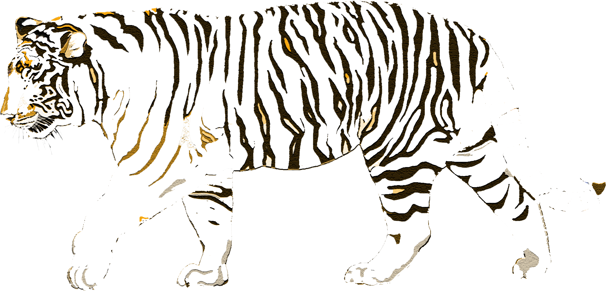 Call And Response - Zebra (2088x1000)