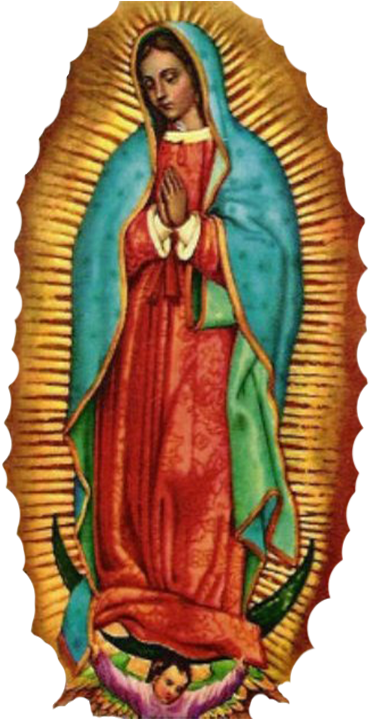 Imágenes De La Virgen De Guadalupe - Mary Queen Of Heaven (411x718)