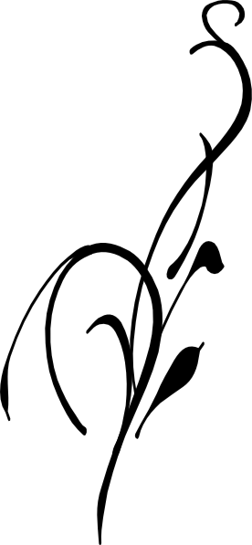 Black Leaf - Vines Black And White (276x597)