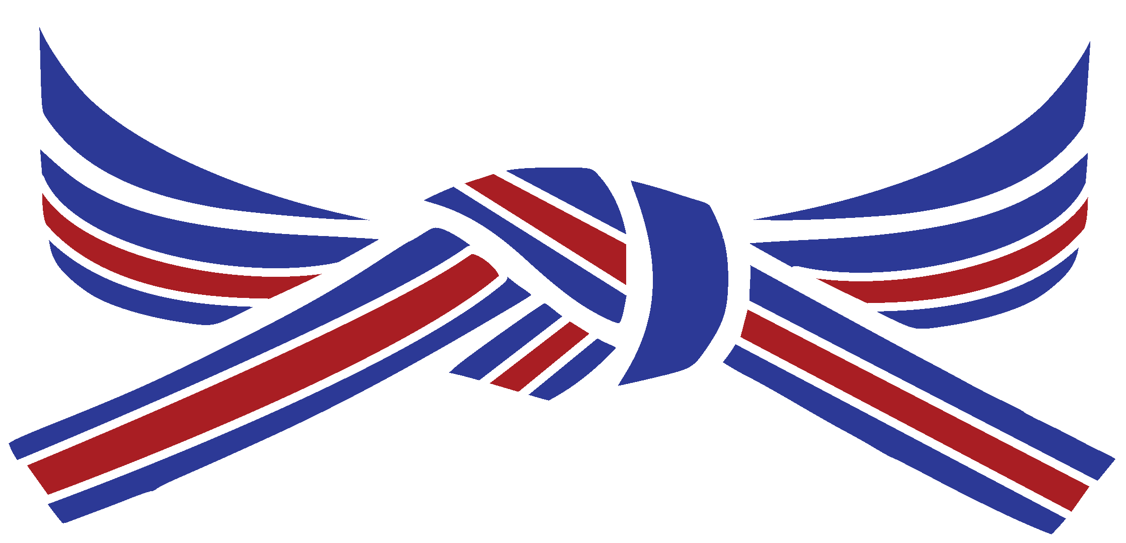 The Color Of Opposites - Taekwondo (2237x1079)