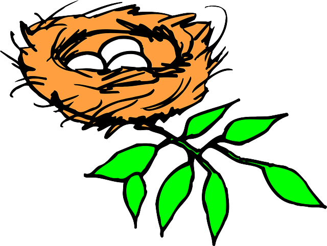 Bird Nest Clip Art - Bird Nest Clip Art (640x482)