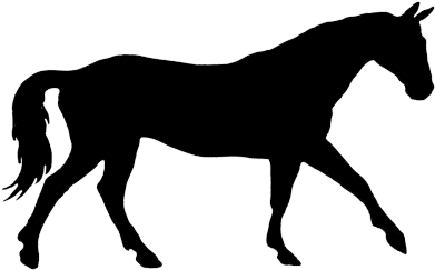 Silhouette Of A Horse (409x262)