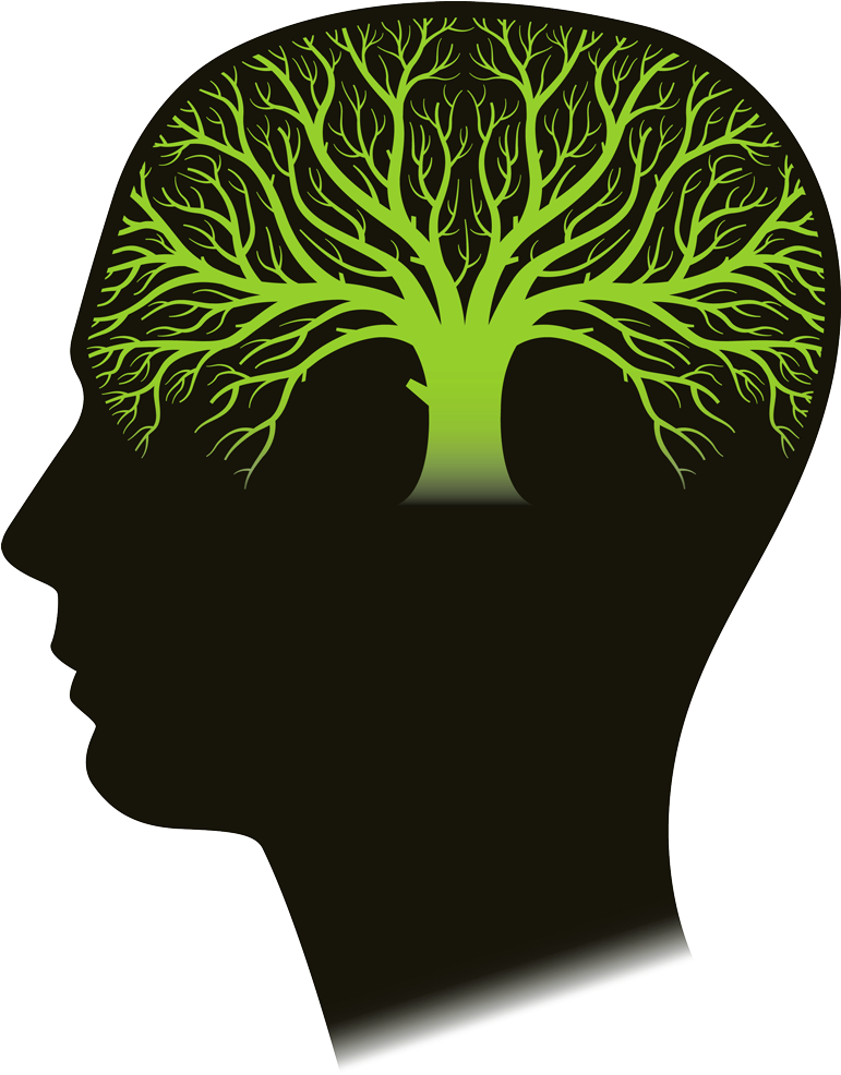 There May Be Safe, Natural Help For Children And Adults - Environmental Conservation Law Of New York, 2017 Edition; (770x1000)